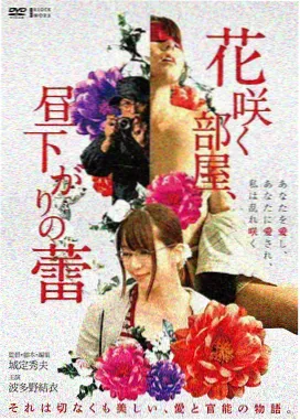 电影雨落旧城的移动端播放封面